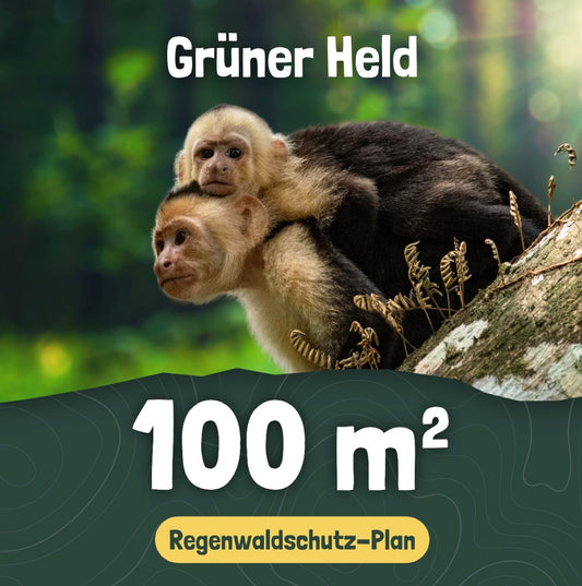 100 m² Regenwaldschutz Plan