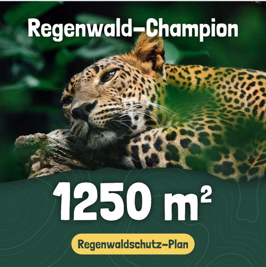 1250 m² - Regenwaldschutz Plan